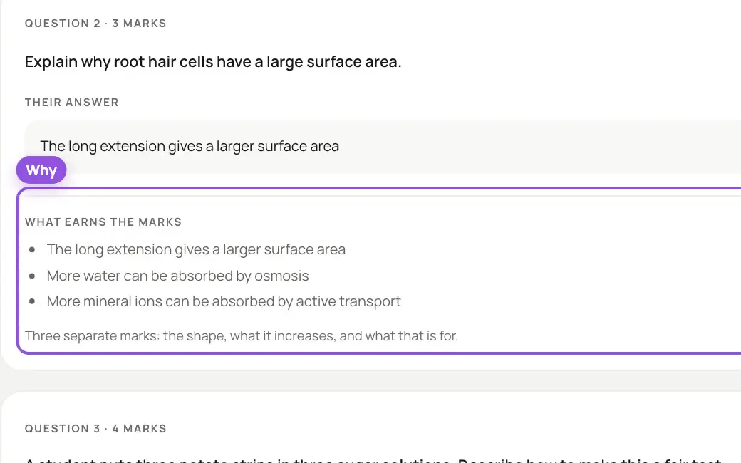 Klaro on a sample course: a student's written answer, with what earns the marks from the mark scheme